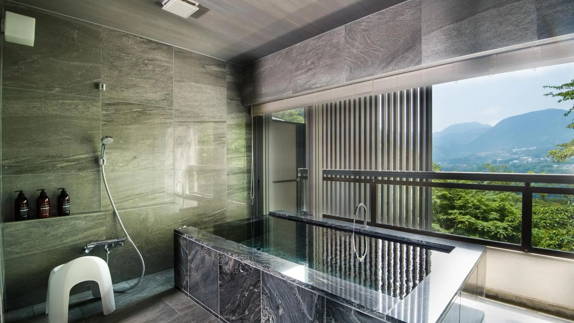 Ryokan (tradycyjny japoński pensjonat lub zajazd) Hakone Elecasa Hotel And Spa